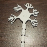 Materiales educativos 3D