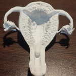 Materiales educativos 3D