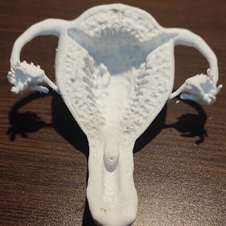 Materiales educativos 3D