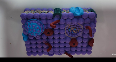 Materiales educativos 3D