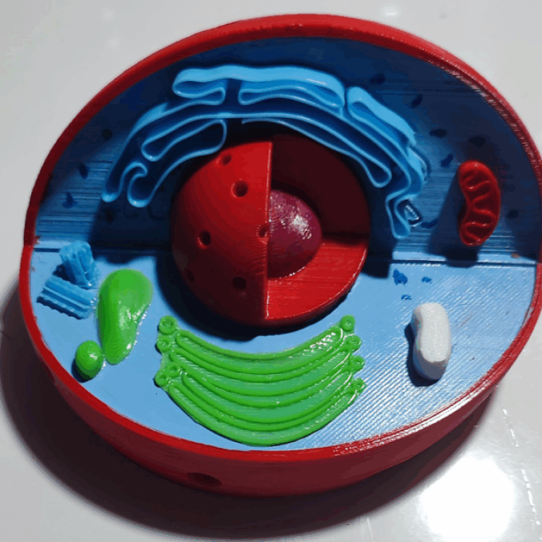 Materiales educativos 3D
