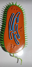 Materiales educativos 3D