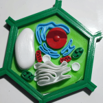 Materiales educativos 3D