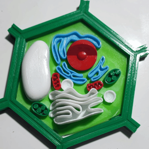 Materiales educativos 3D