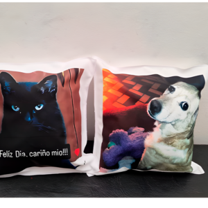 almohadones upscayl 2x upscayl standard 4x